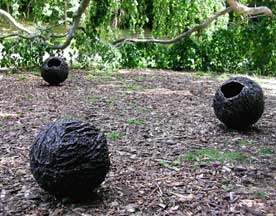 photo of Bark Balls