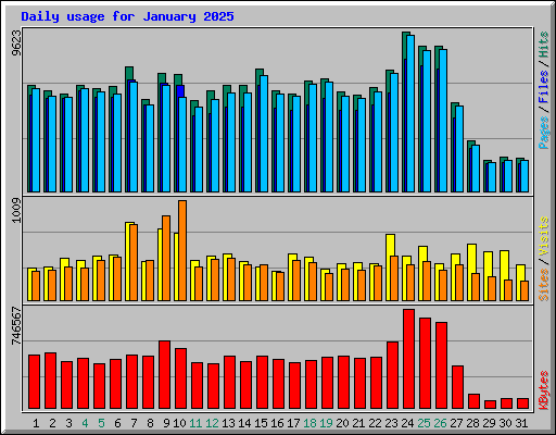Daily usage for January 2025