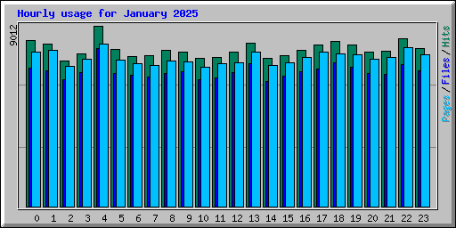 Hourly usage for January 2025